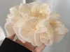 Khi Ký Chủ Bị Bỏ Qua, Gặp Phản Diện Người Cá